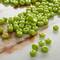 12 Pack: Glass Seed Beads by Bead Landing®, 6/0